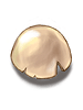 Novice False Eggshell
