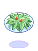 Fresh Plant