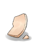 Piece of Egg Shell
