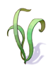 Singing Plant