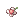 Romantic White Flower