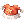 Twin Pompom By JB