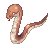 Anacondaq